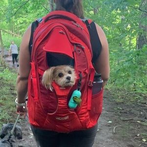 Kurgo dog carrier backpack